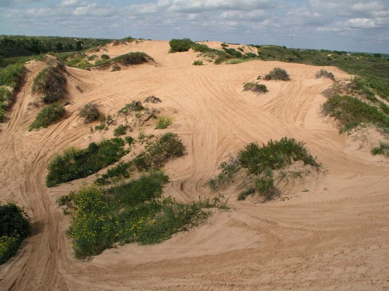 Beaver OK Dunes Park