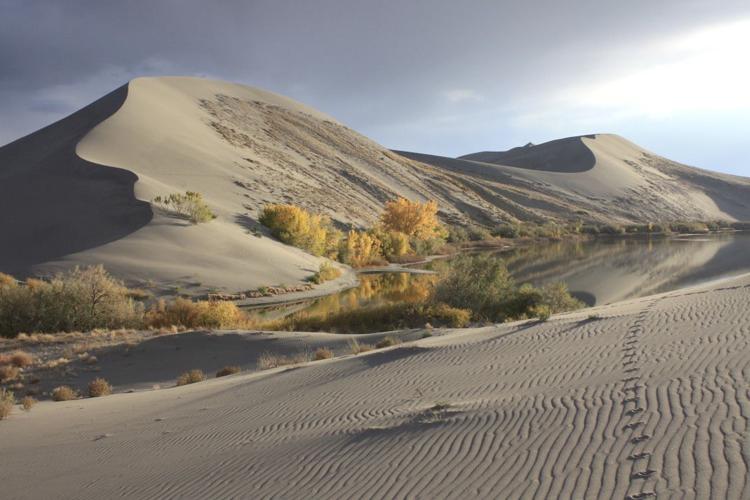 Bruneau Sand Dunes Idaho