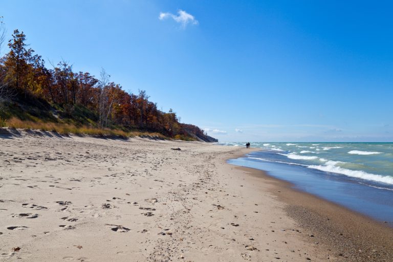 Indiana Dunes National Lakeshore Michigan City Indiana 768x512