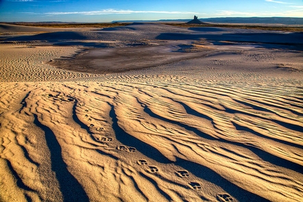 Killpecker Wyoming Sand Dunes