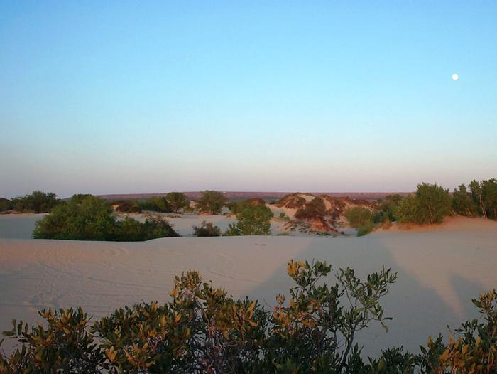 Mescalero Sand North Dune