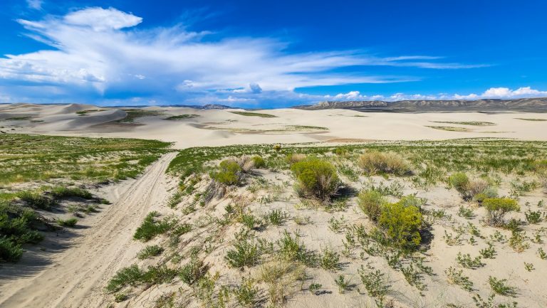 chilton road to killpecker sand dunes 768x433