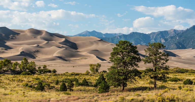 colorado state great sand dunes national park 768x401