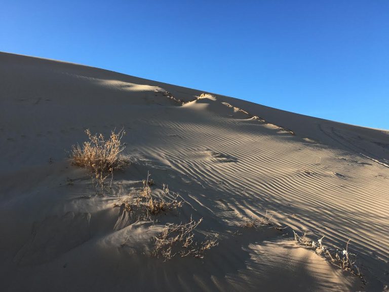 sand dunes new mexico albuquerque 768x576