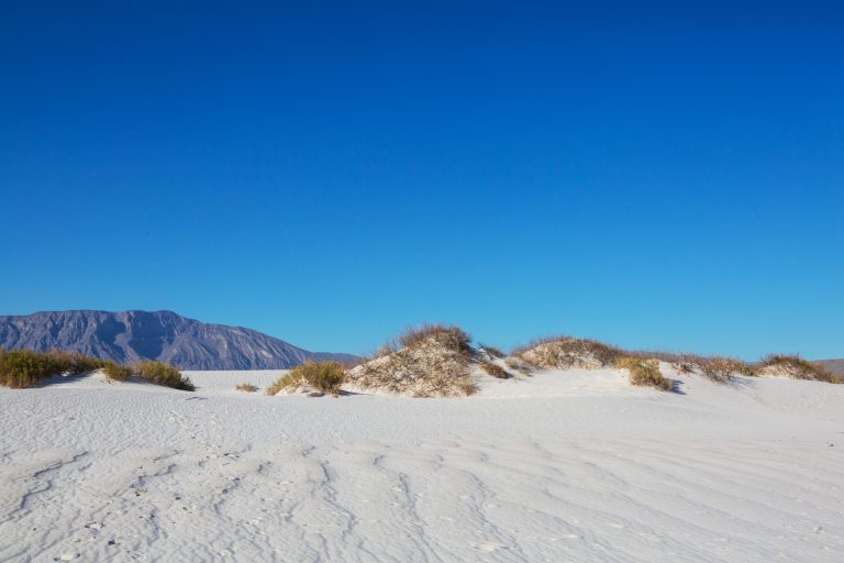 white sand dunes in mexico 2023 768x512