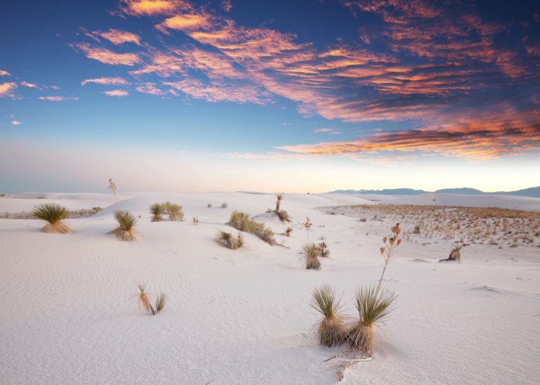 white sand dunes