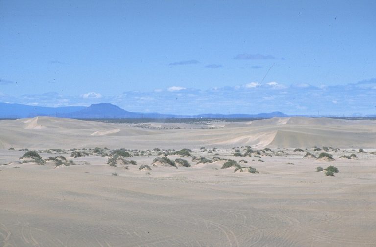 Christmas Valley Sand Dunes 768x505