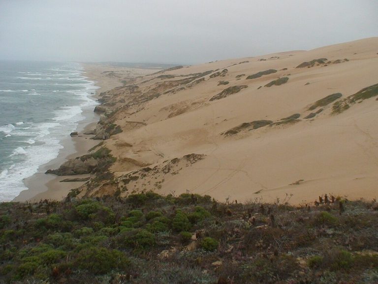Guadalupe Nipomo Sand Dunes 768x576