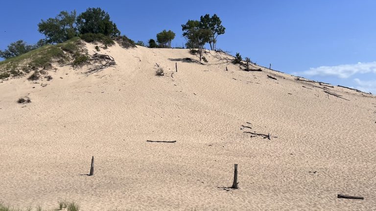 warren state park dunes 768x432