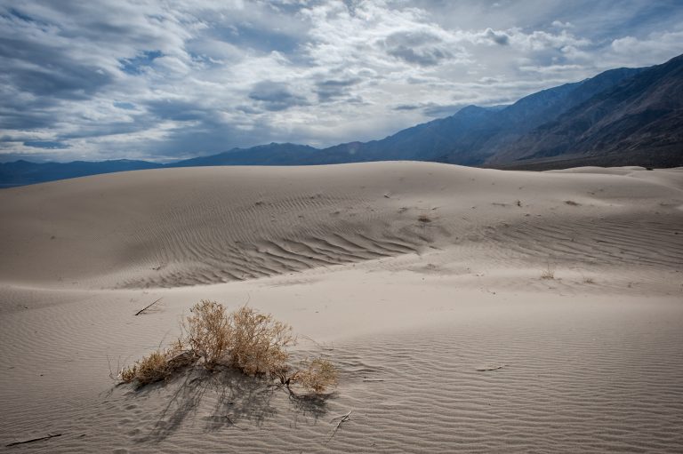 Saline Valley Dunes 768x511