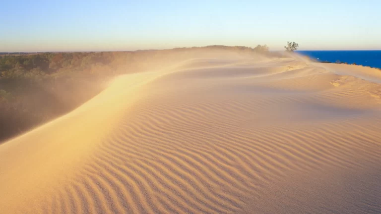 Indiana Dunes National Lakeshore 768x432