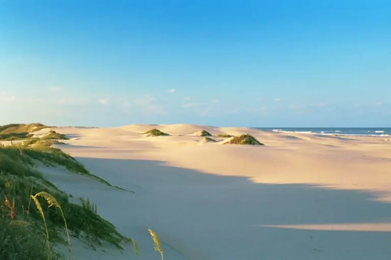 South Padre Island Dunes Texas Coast 768x512