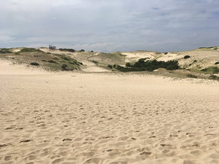 dune shacks trail 768x576