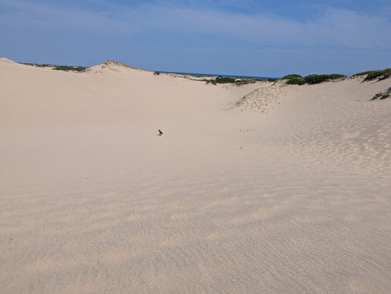 providencetown ma dunes 768x578