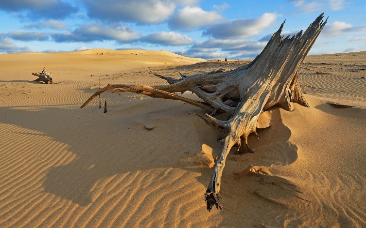 Michigan Silver Lake Sand Dunes