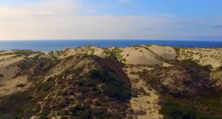 Guadalupe Dunes Restoration 768x415