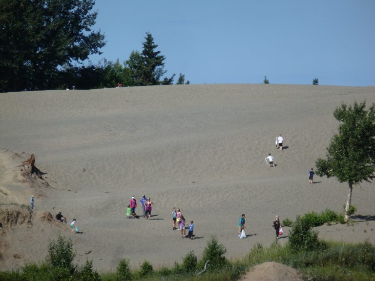 Kincaid Sand Dunes 768x576