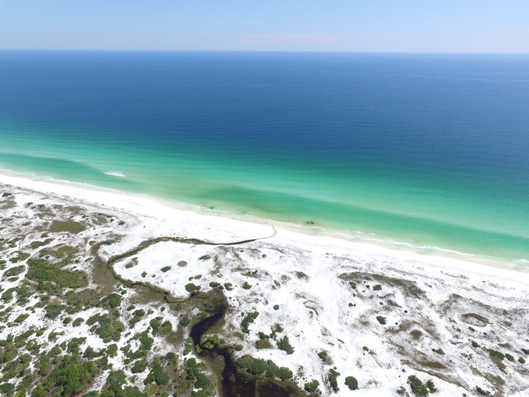 Topsail Hill Preserve Sand Dunes 768x576