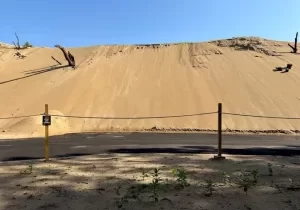 90557585007-sand