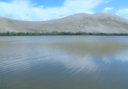 Bruneau State Park