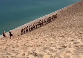 Cross Country Team Sand Dune