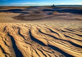 Photo Courtesy of Bureau of Land Management