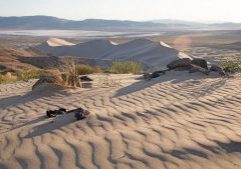 Image Courtesy of TravelNevada.com
