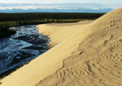 kobuk sand dunes