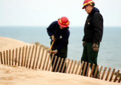mount baldy beach indiana