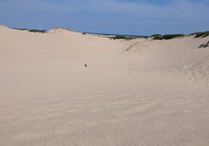 Image Courtesy of TripAdvisor